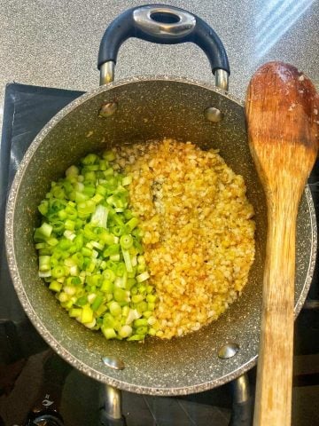 add thinly sliced green onions spring onions