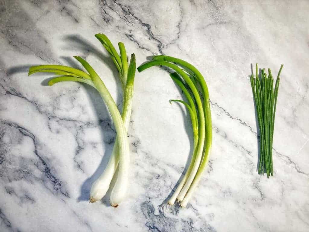 Spring Scallion What are Scallions and How To Use Them? | Spice and Life