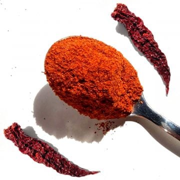 Kashmiri Chili powder on a spoon with dried chiles on the side.