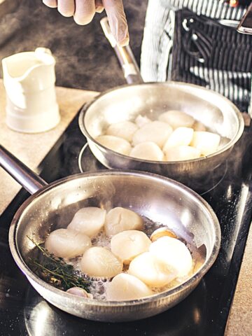Fresh Scallops Vs Frozen Scallops Spice and Life