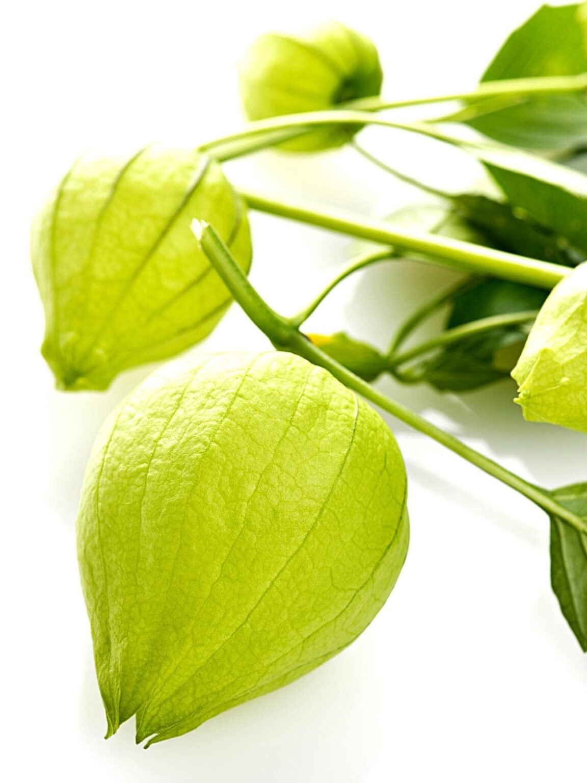 What's The Best Tomatillo Substitute? 8 Options Spice and Life