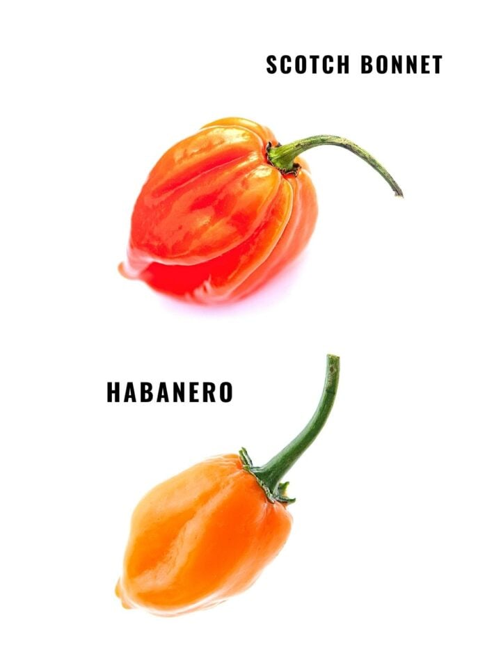 Scotch Pepper A Spicy Treat from the Caribbean