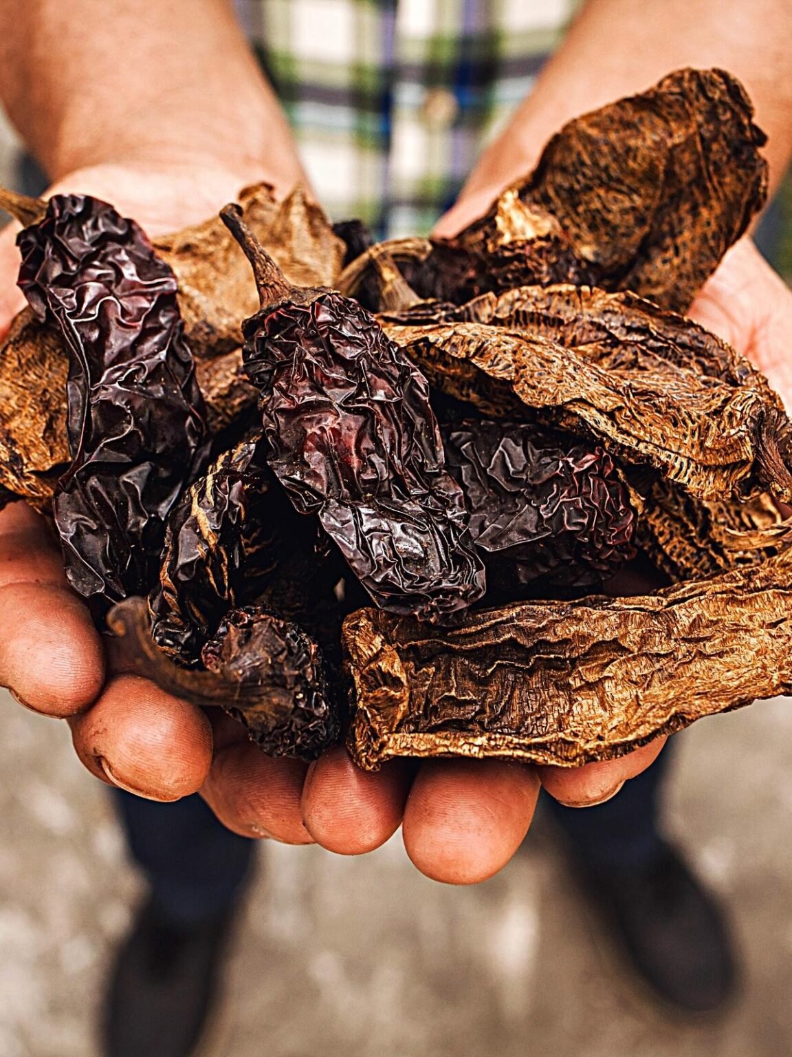 Chipotle Peppers What They Are and How to Make Them Spice and Life