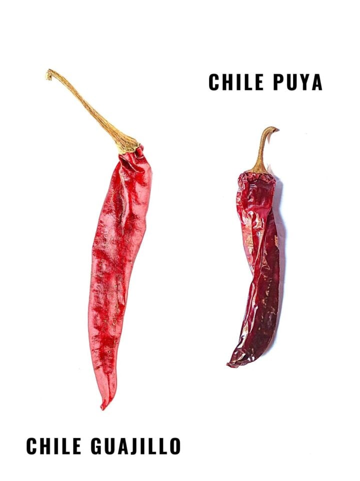 A Taste of Mexico The Chile Puya Spice and Life