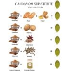 Infographic showing all alternative for Cardamom Substitutes.