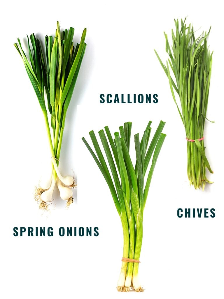 What Are Scallions? Everything You Need to Know Spice and Life