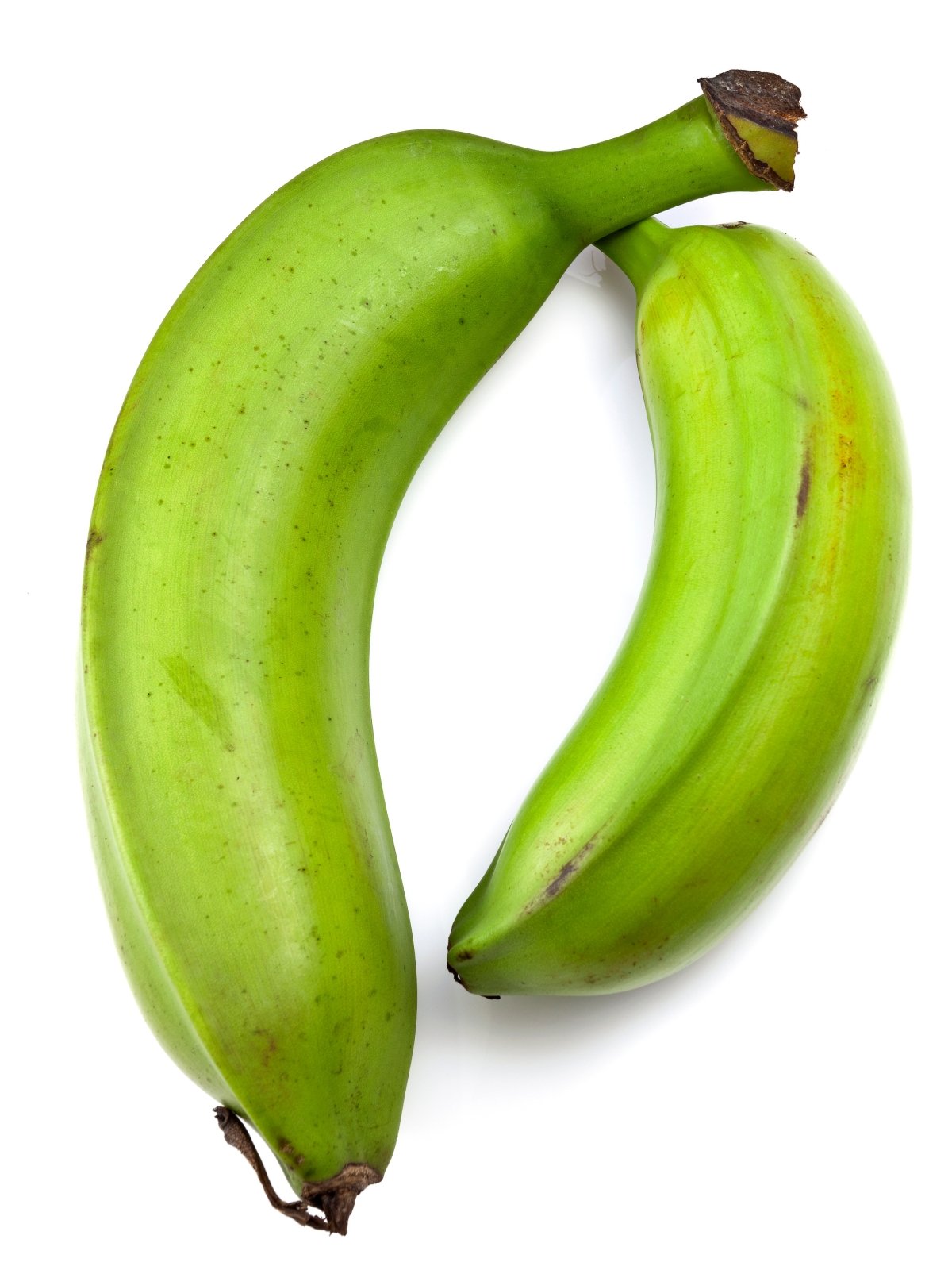two green plantains on a white background. They have curved shapes with pointed ends and are different in size.