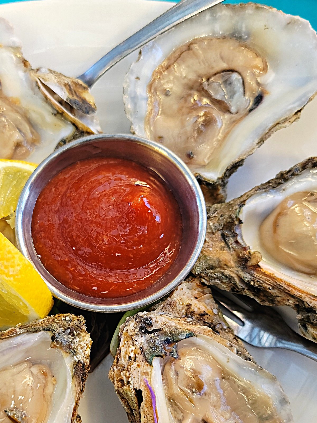 A plate of raw oysters on plate with lemon and cocktail sauce.