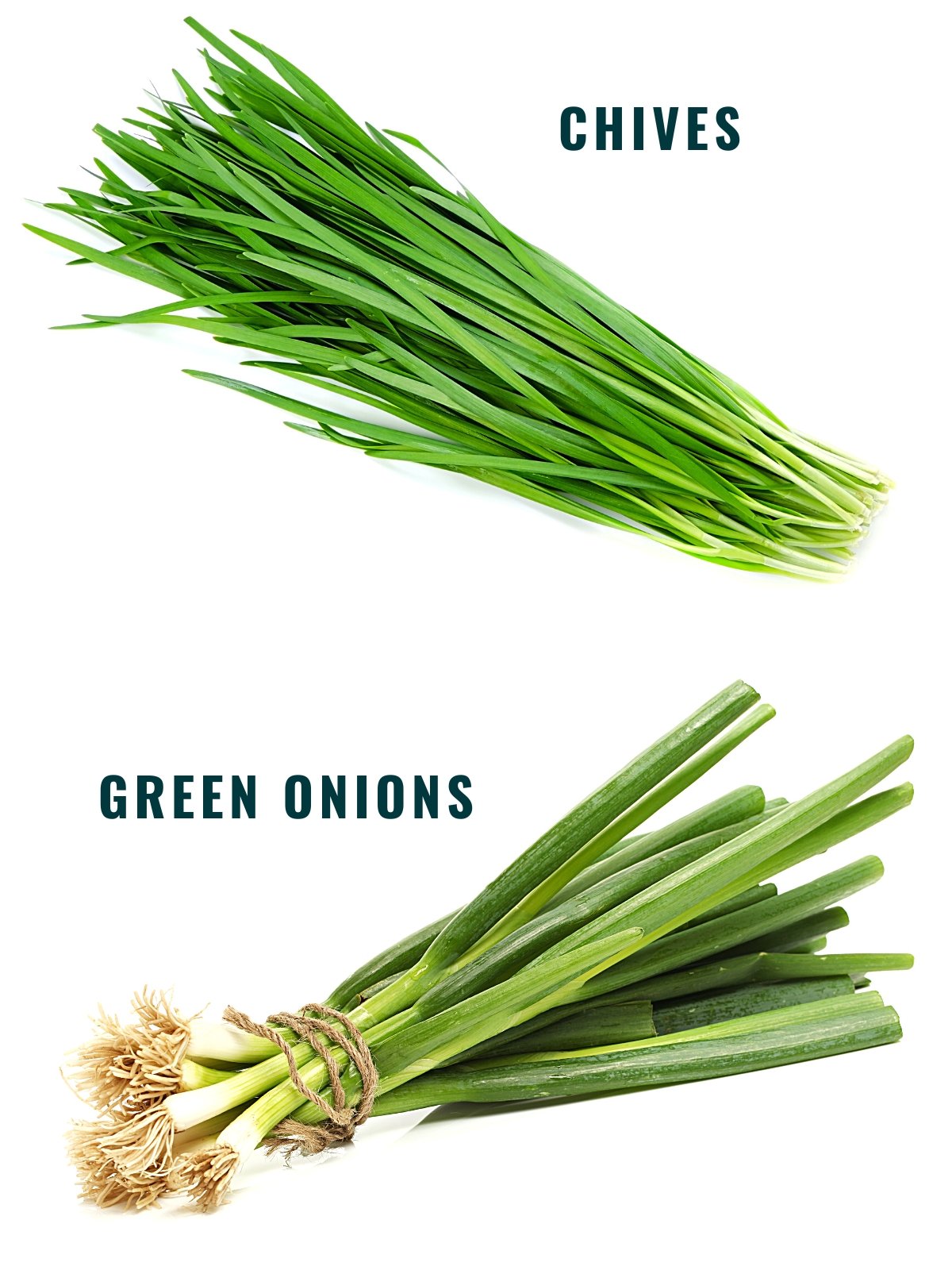 bunch of fresh chives that look like thin grass are on top of fresh green onions that have thicker leaves and small white bulbs.