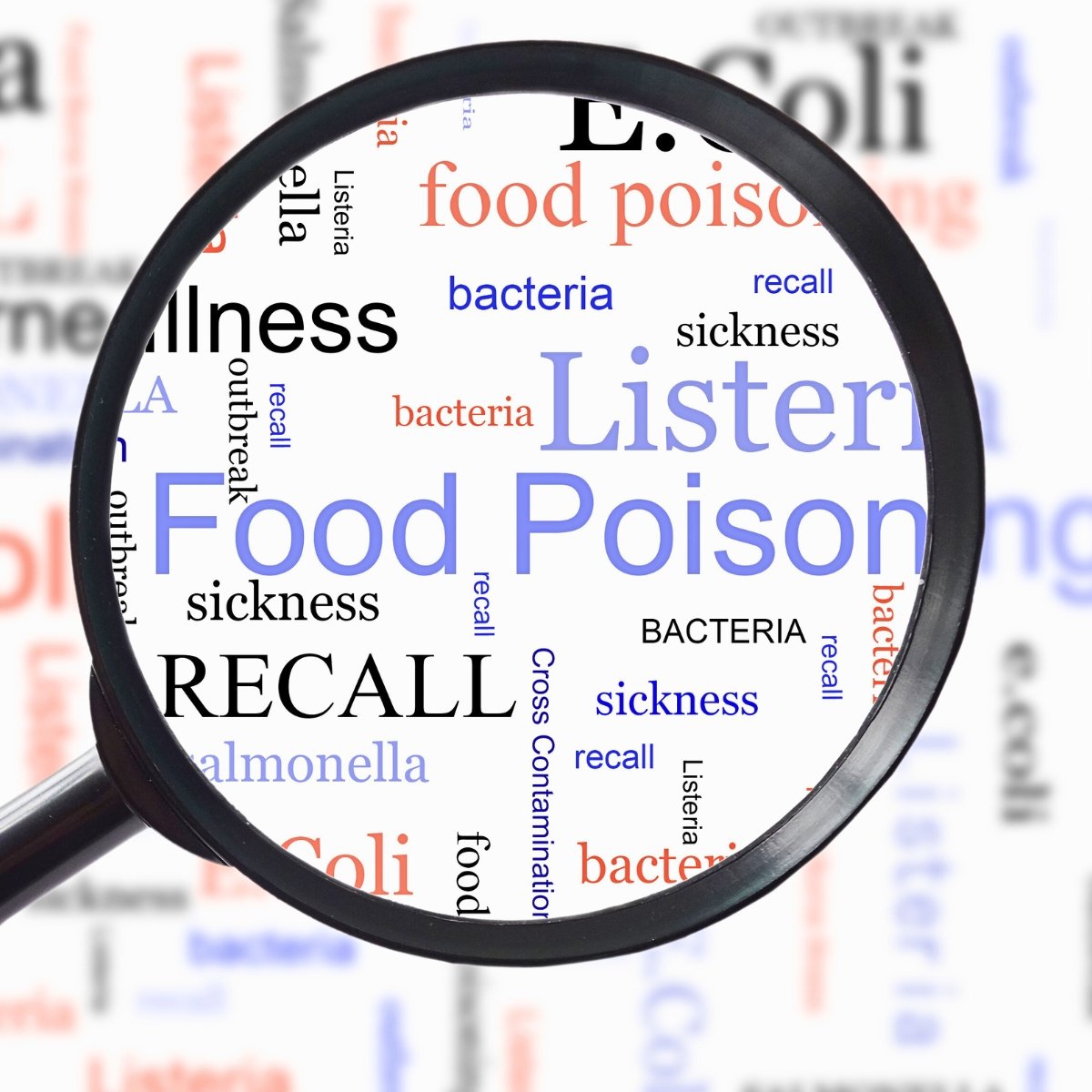 How Long Do Leftovers Last in the Fridge? A Look at UK vs. US